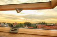 rated Ponsonby roof window companies